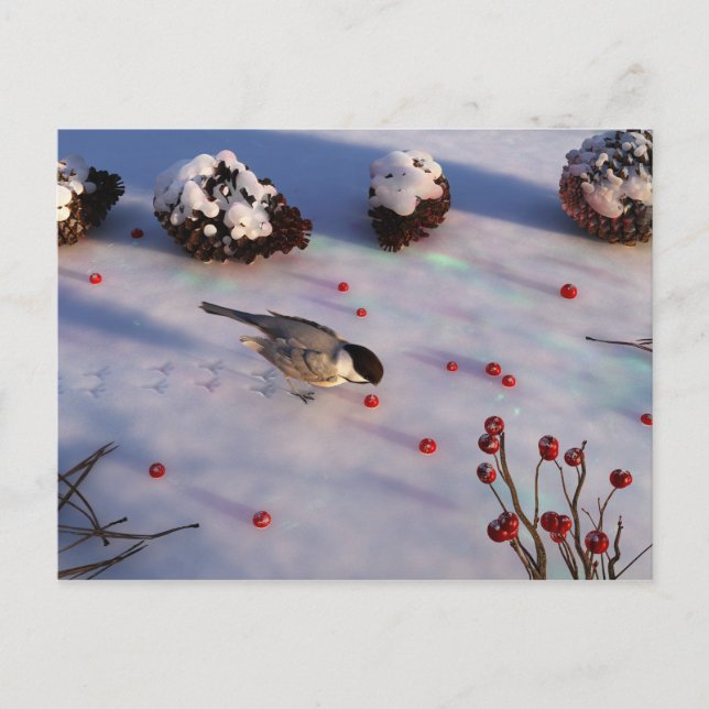 Chickadee Winter Postcard Vykort (Framsida)