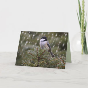 Chickadeefågel i snöflingor för träd för helgkort