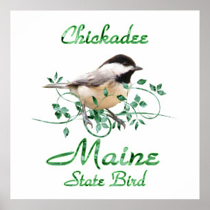 ChickadeeMaine statlig fågel Poster