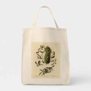 Chickadees and Bushtit, Audubon's Birds of America Tygkasse