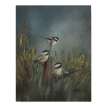 Chickadees-dammen