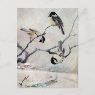 Chickadees i Snö Vykort