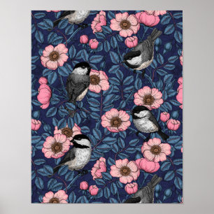 Chickadees i vilden ro i rosa och blått poster