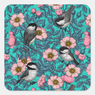Chickadees i vilden ro, rosa och blått fyrkantigt klistermärke