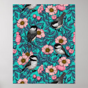 Chickadees i vilden ro, rosa och blått poster