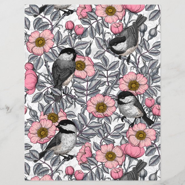 Chickadees i vilden ro, rosa och grått (Framsida)