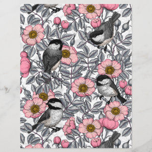 Chickadees i vilden ro, rosa och grått