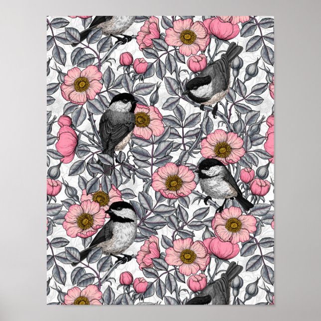 Chickadees i vilden ro, rosa och grått poster (Framsidan)