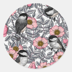 Chickadees i vilden ro, rosa och grått runt klistermärke