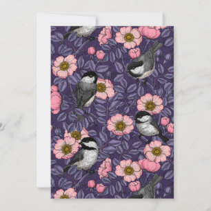 Chickadees i vilden ro vid rosa och violett