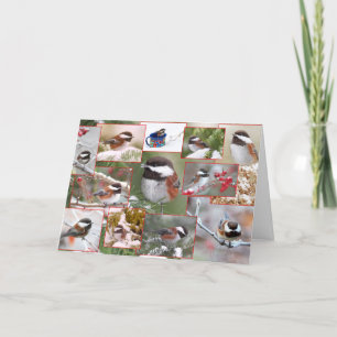 Chickadees i vinterCollage Helgkort