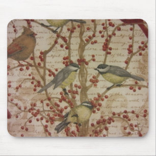 Chickadees Musmatta