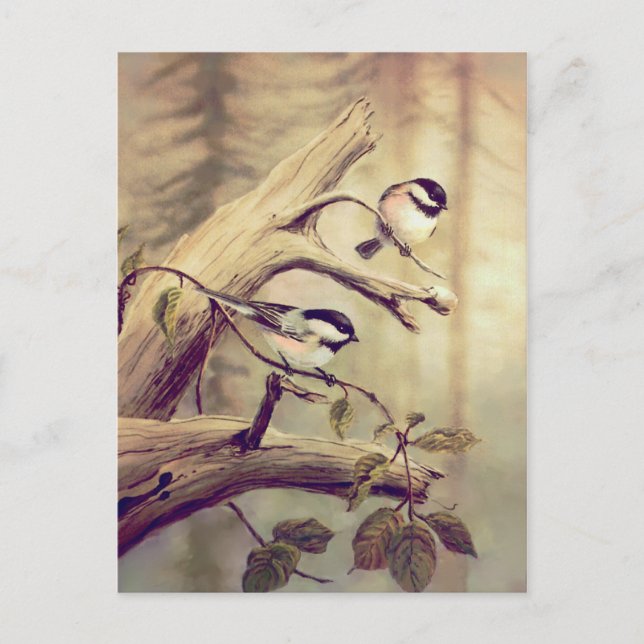 CHICKADEES on a GREN by SHARON SHARPE Vykort (Framsida)