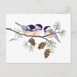 CHICKADEES & PINECONES by SHARON SHARPE Vykort