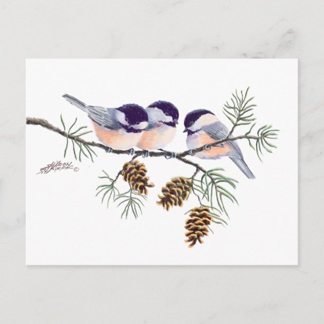 CHICKADEES & PINECONES by SHARON SHARPE Vykort (Framsida)