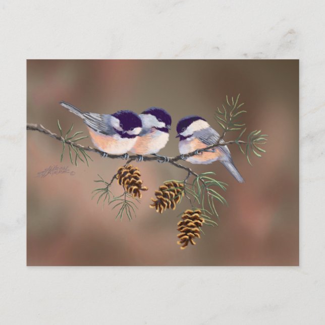 CHICKADEES & PINECONES by SHARON SHARPE Vykort (Framsida)