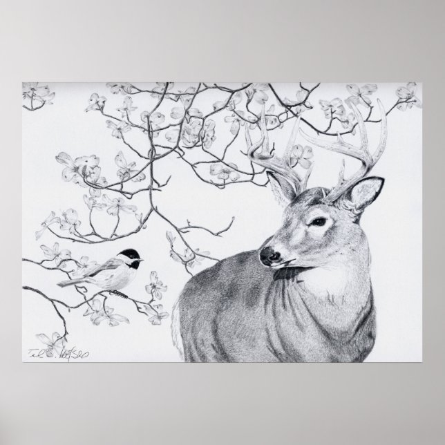 Chickadees Sång Poster (Framsidan)