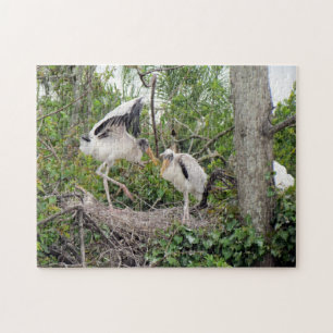 Chickar för trästork - Nest - Playin - Bird - Puzz Pussel