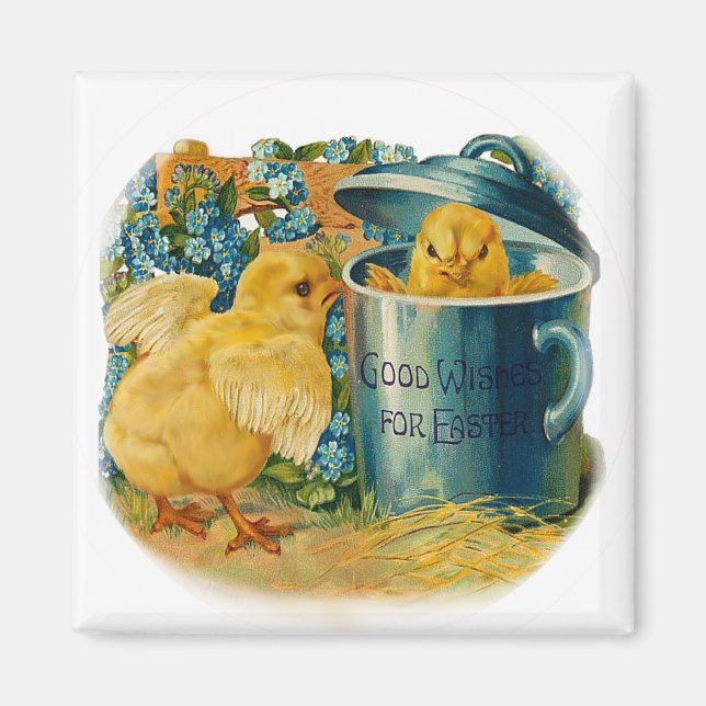 chickar i påsk som står på spel magnet (Framsidan)