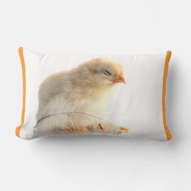 chickar med fjäder lumbarkudde (Framsida)