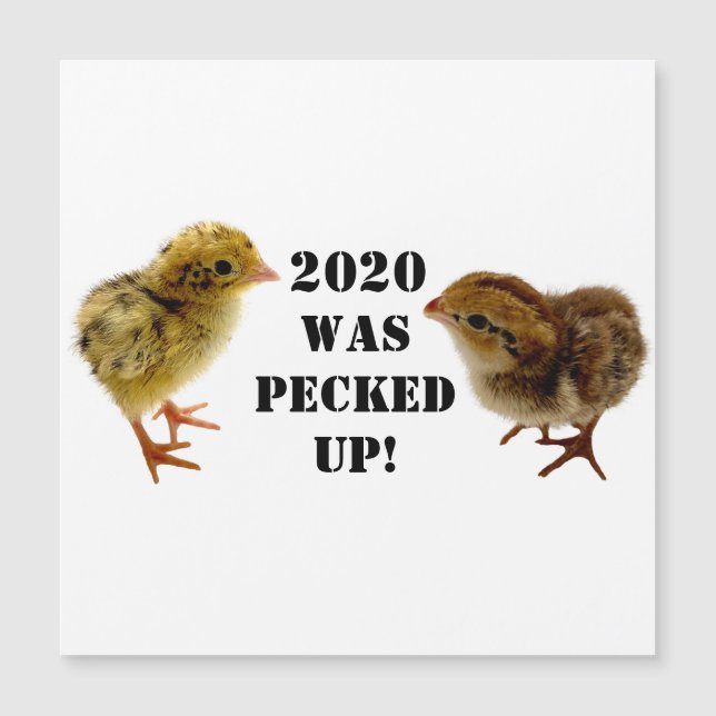 Chickarna baby (Framsida)