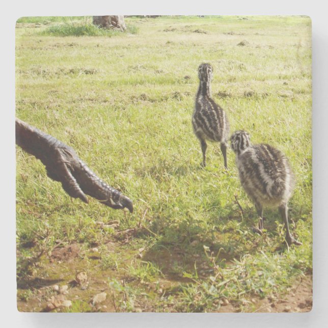 Chickarna Baby Emu och stoft Foot. Stenunderlägg (Framsidan)