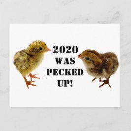 Chickarna baby vykort