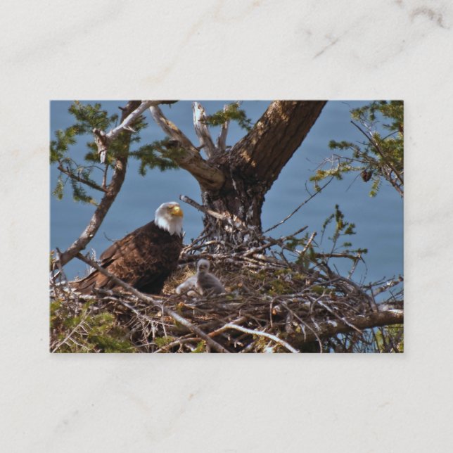 CHICKARNA ÖRN - AFFÄRSKORTET VISITKORT (Framsida)