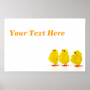 chickarna påsk baby Poster