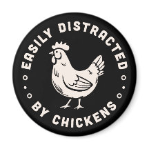 Chicken älskare citerar som lätt distraheras av ky