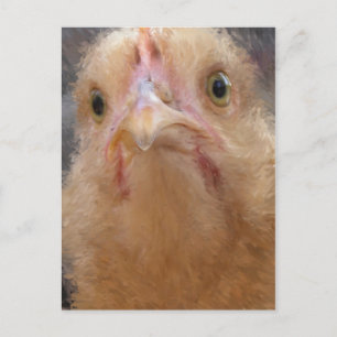 Chicken Ansikte Vykort