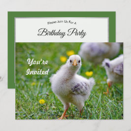 Chicken Baby Chick Photo Birthday Inbjudningar
