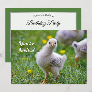 Chicken Baby Chick Photo Birthday Inbjudningar