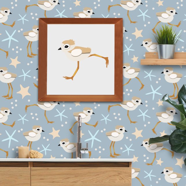 Chicken baby Sandpiper eller Piping Plover Poster (Skapare uppladdad)