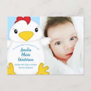 Chicken Baby Shower Blue Vykort