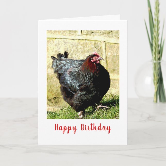 Chicken Birthday Kort (Framsida)