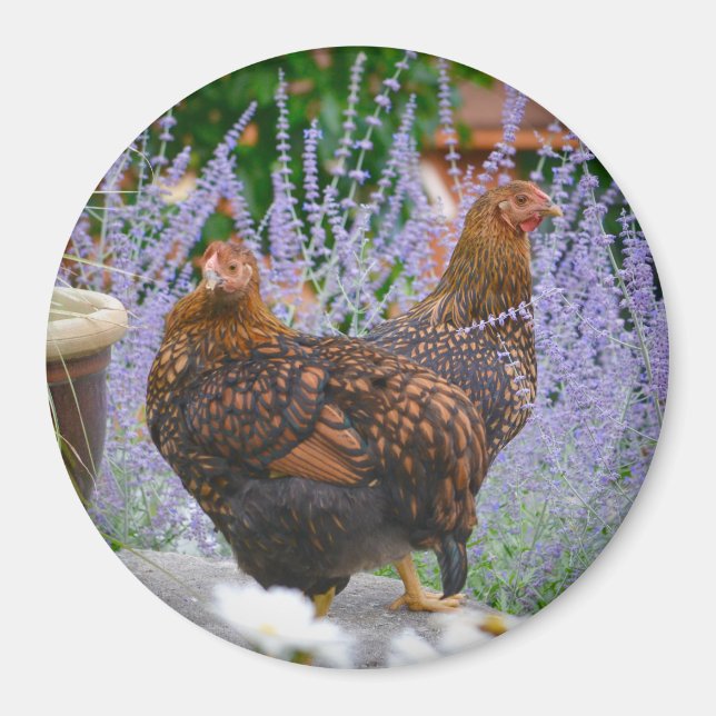 Chicken Blommigt Magnet (Framsidan)