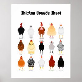 chicken breeds chart poster