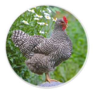 Chicken Ceramic Knob Knopp