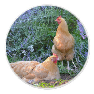 Chicken Ceramic Knob Knopp