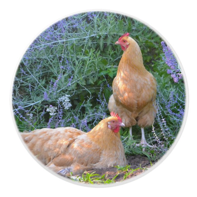 Chicken Ceramic Knob Knopp (Framsidan)