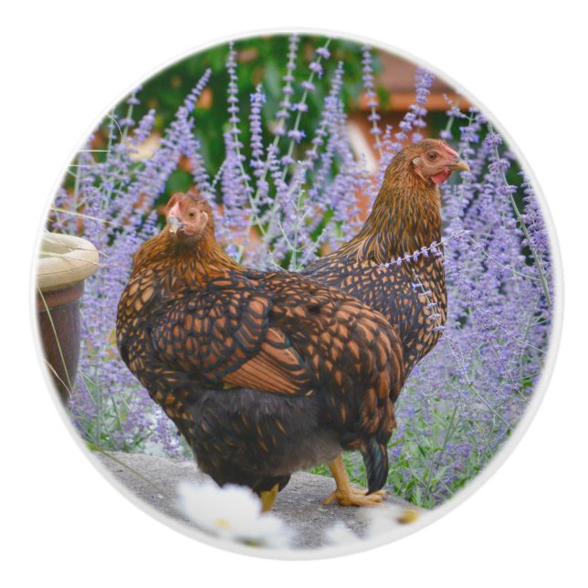 Chicken Ceramic Knob Knopp (Framsidan)