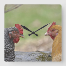 Chicken Clock Fyrkantig Klocka