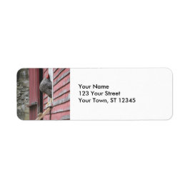 Chicken Coop Returadress Etikett