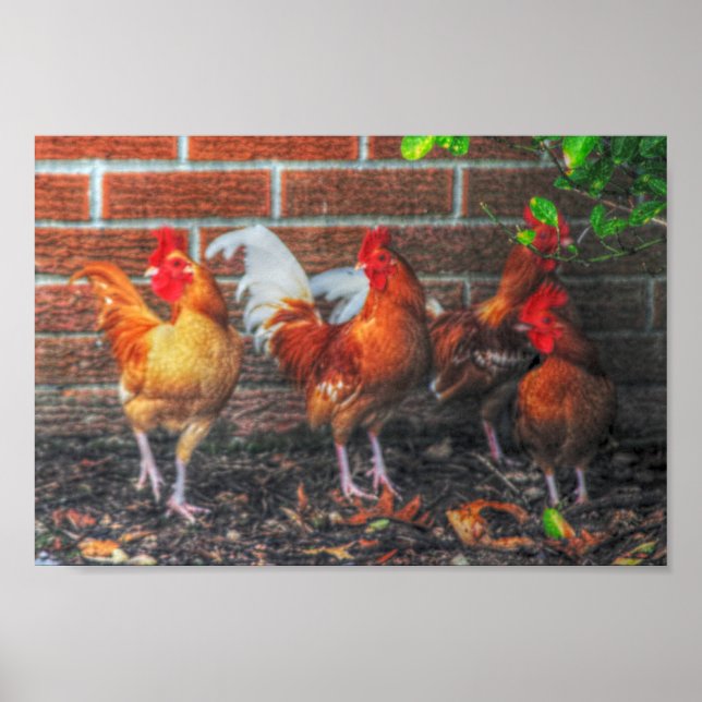 Chicken Dance Poster (Framsidan)