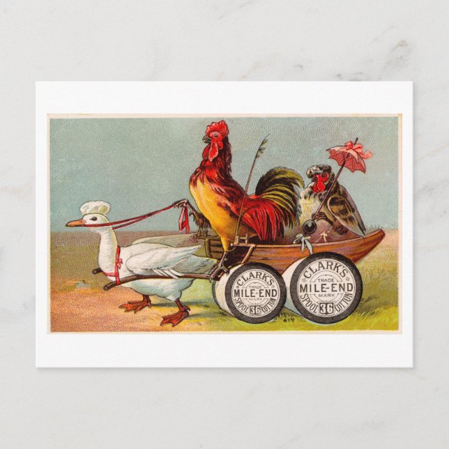 Chicken Driving Anka Cart Vintage Odness Vykort (Framsida)