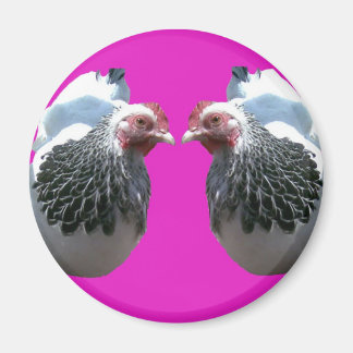 CHICKEN DUO PÅ MAGENTA MAGNET