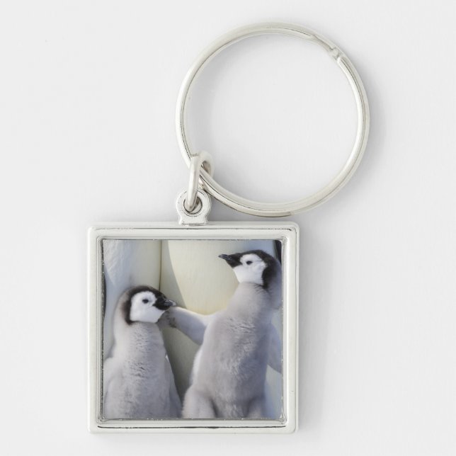 Chicken Emperor Penguin Fyrkantig Silverfärgad Nyckelring (Framsidan)