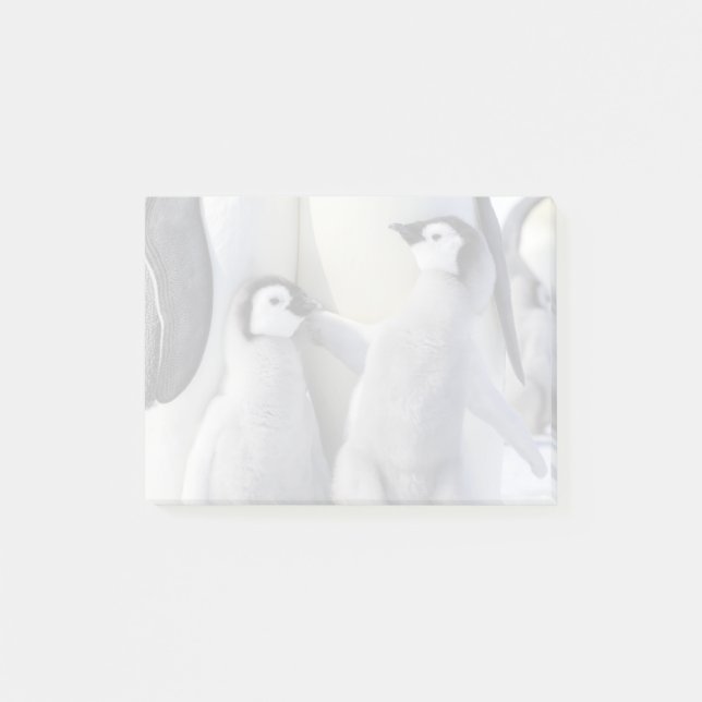 Chicken Emperor Penguin Post-it Block (Framsida)