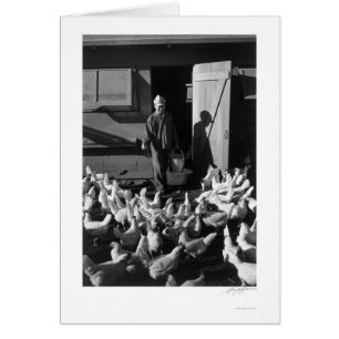 Chicken Farm Mori Nakashima 1943 Hälsningskort